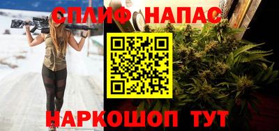 шишки Коммунар